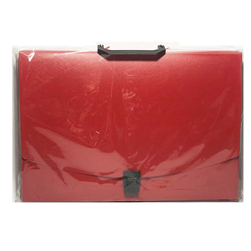 Portafolio de plástico tamaño oficio.