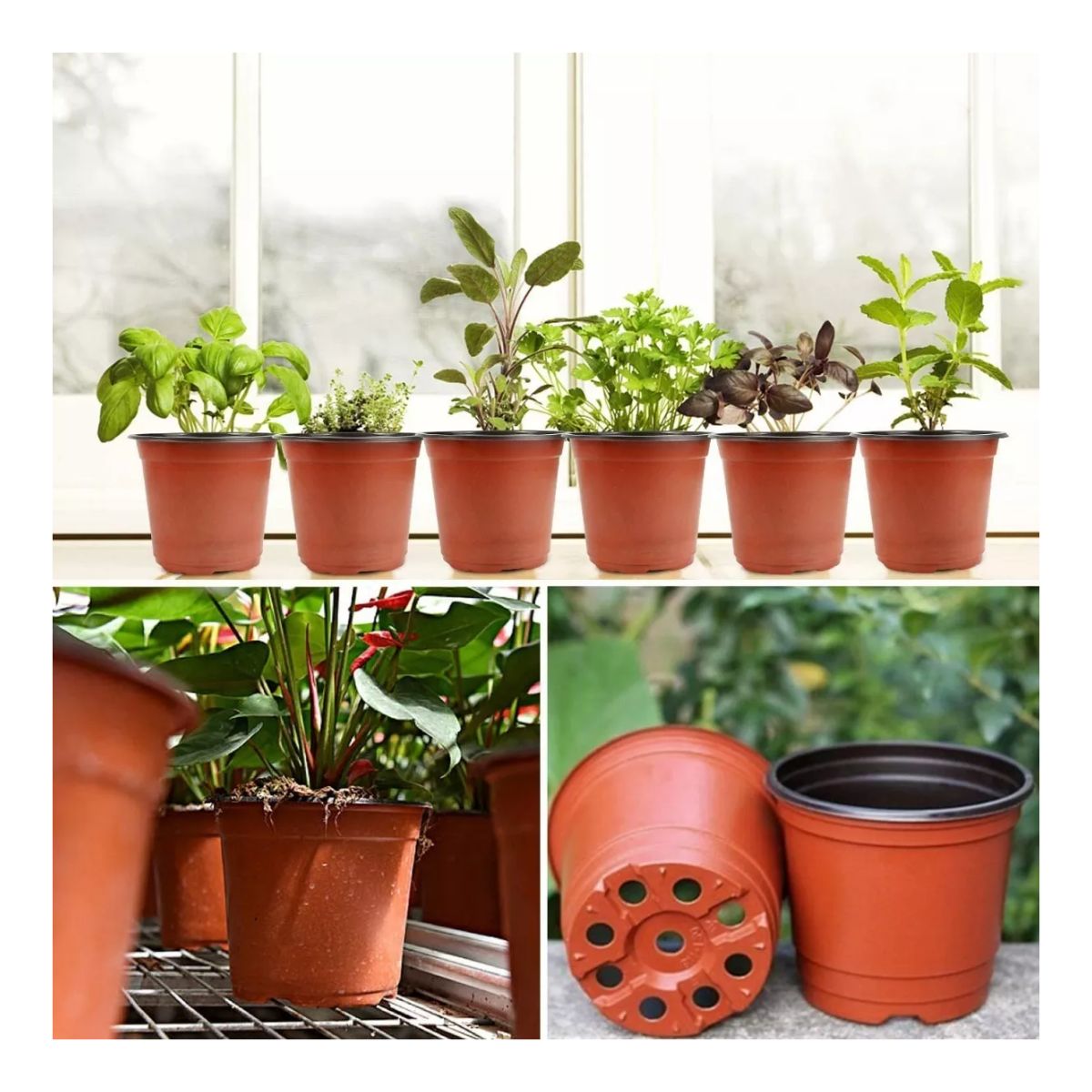 Macetitas 3 Pulgadas Terracota 100 Macetas Cactus NARANJA/NEGRO