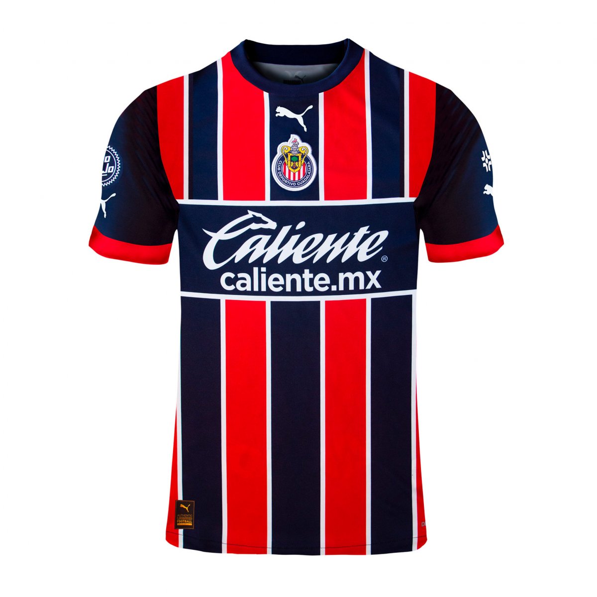 Jersey Puma de las chivas del Guadalajara Alternativa 