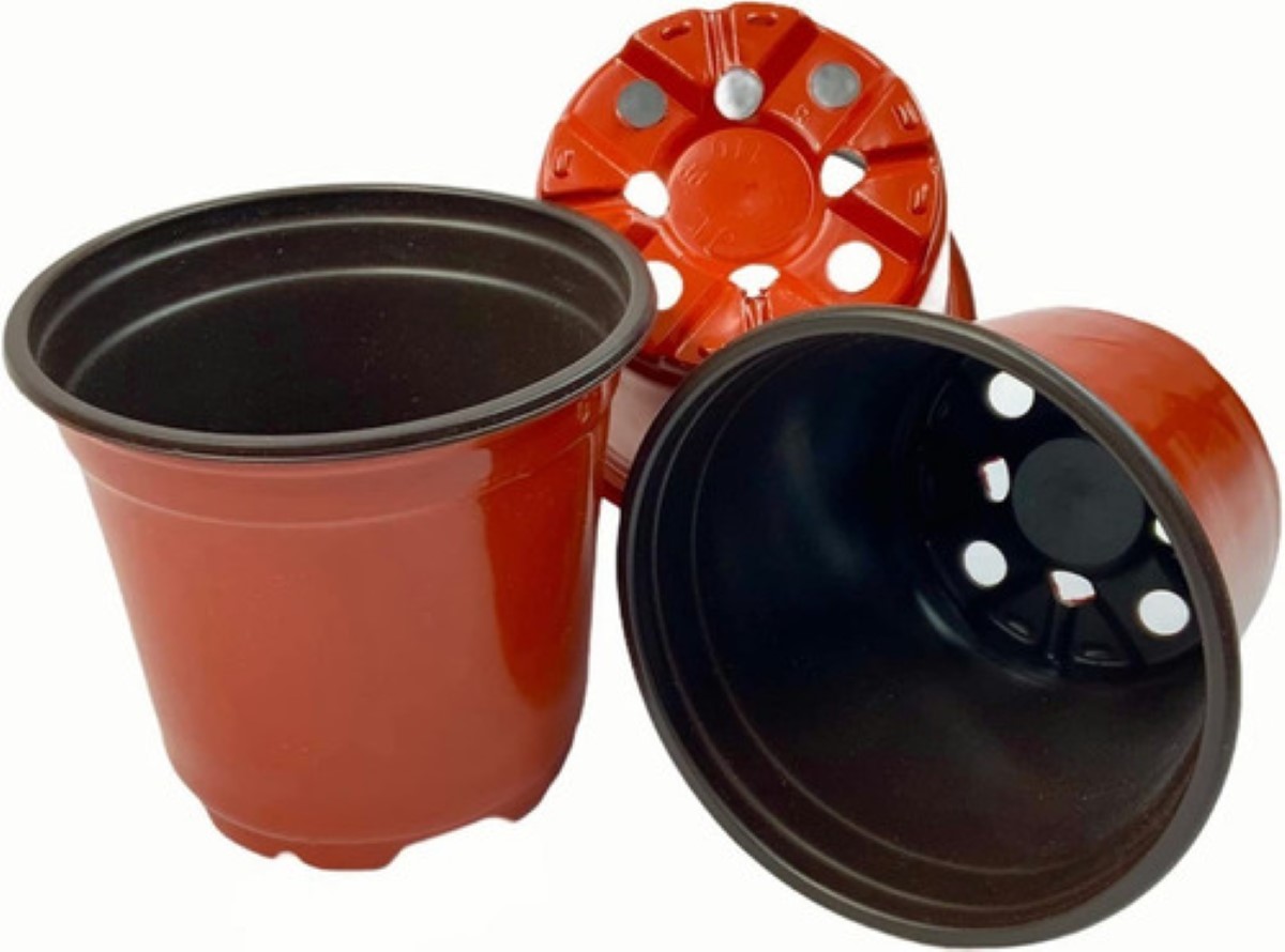 Macetitas 3 Pulgadas Terracota 100 Macetas Cactus NARANJA/NEGRO