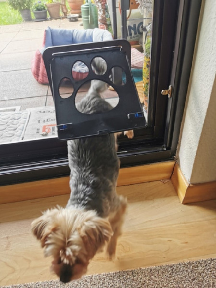 Malla Puerta Para Mascota Gato Perros Pequeño 8x10 Pulgadas gris