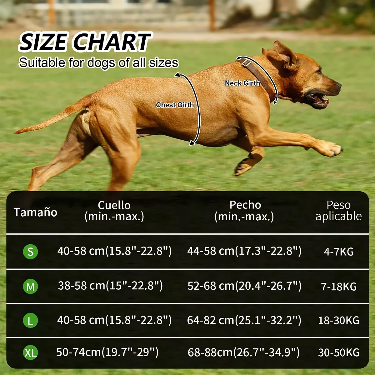 Pechera Arnés Para Perro Regulable Con Bandas Reflectivas G Azul
