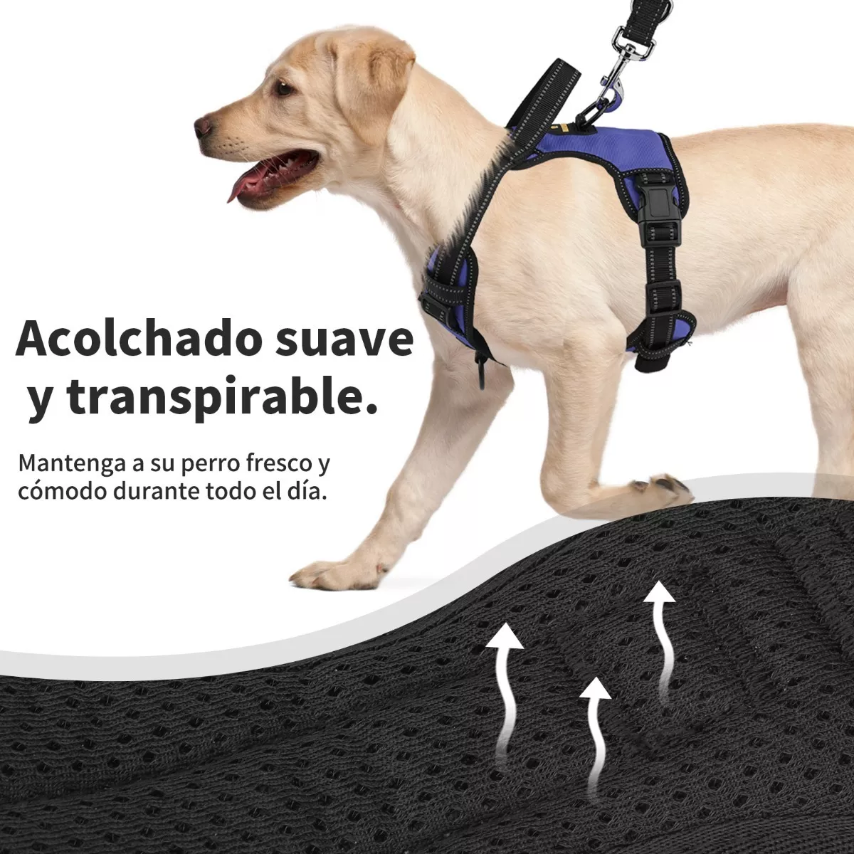 Pechera Arnés Para Perro Regulable Con Bandas Reflectivas G Azul