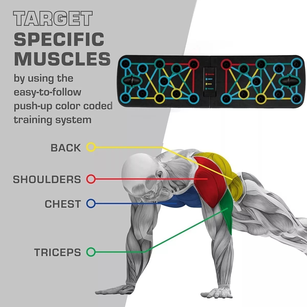 Tablero Lagartijas Pecho Hombro Espalda Ejercicio Muscular Manija Azul