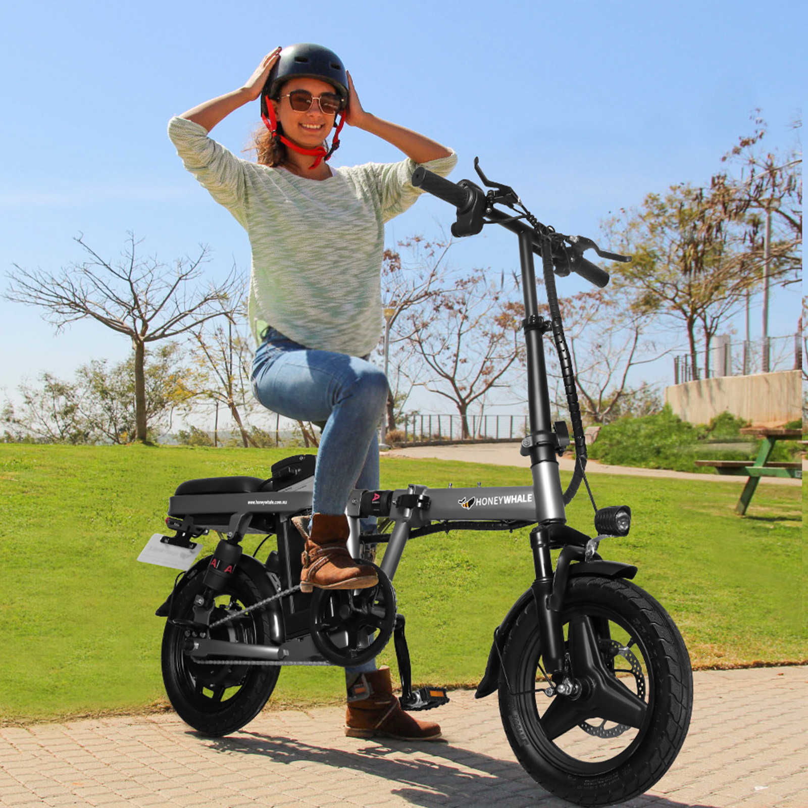 Bicicleta Eléctrica Plegable Honey Whale S6-S Pro Negro