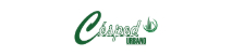 Cesped Urbano