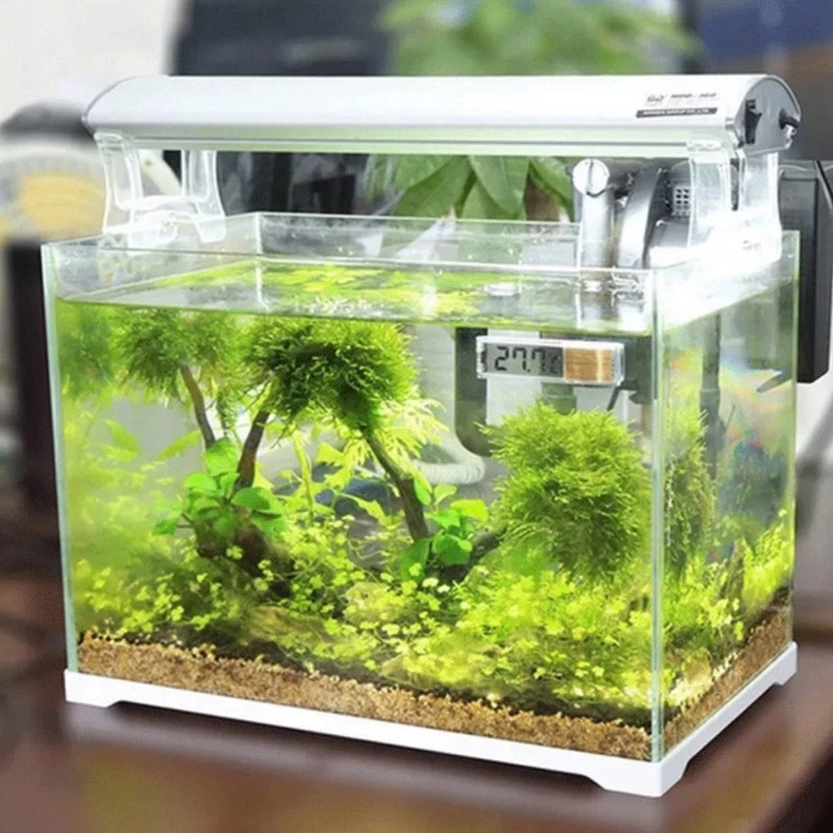 Termómetro medidor electrónico temperatura agua acuario 3D Digital accesorios dorado salado dulce