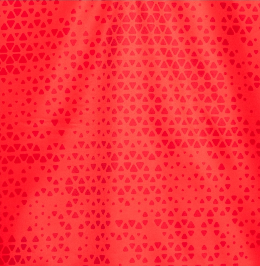 CHAMARRA CHIVAS MEDIO CIERRE PUMA 2023/2024