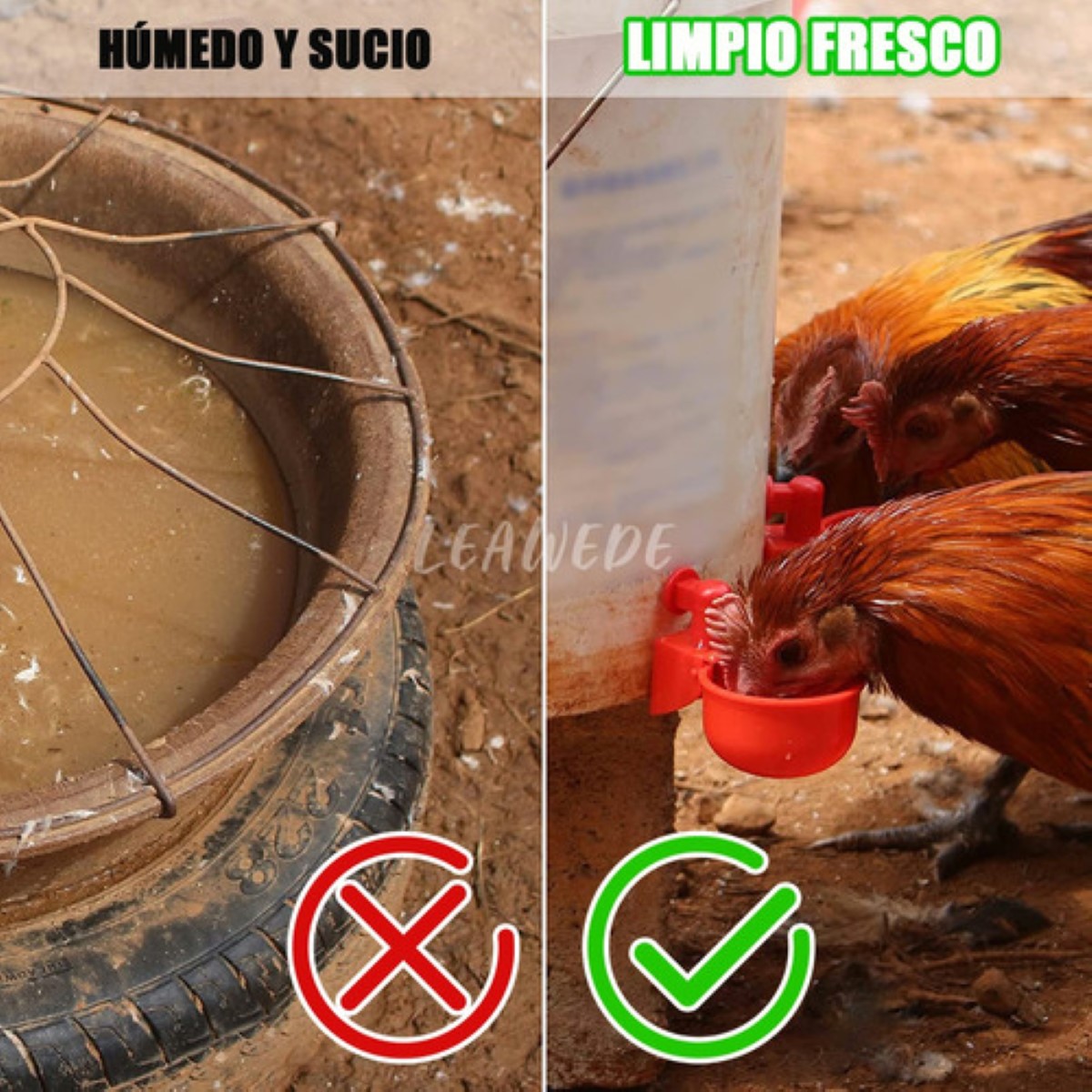 13pzs Bebedero Para Aves,pollos,gallo,automático Con Taladro ROJO