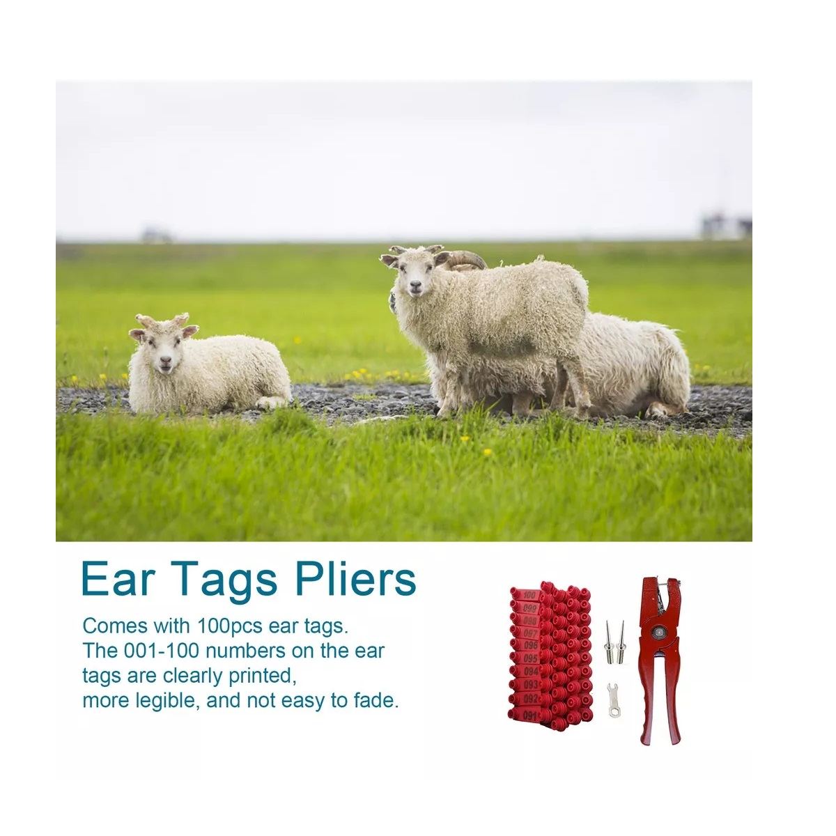 Pinzas Para Marcar Orejas Para Porcino, Bovino Y Ovino Verde