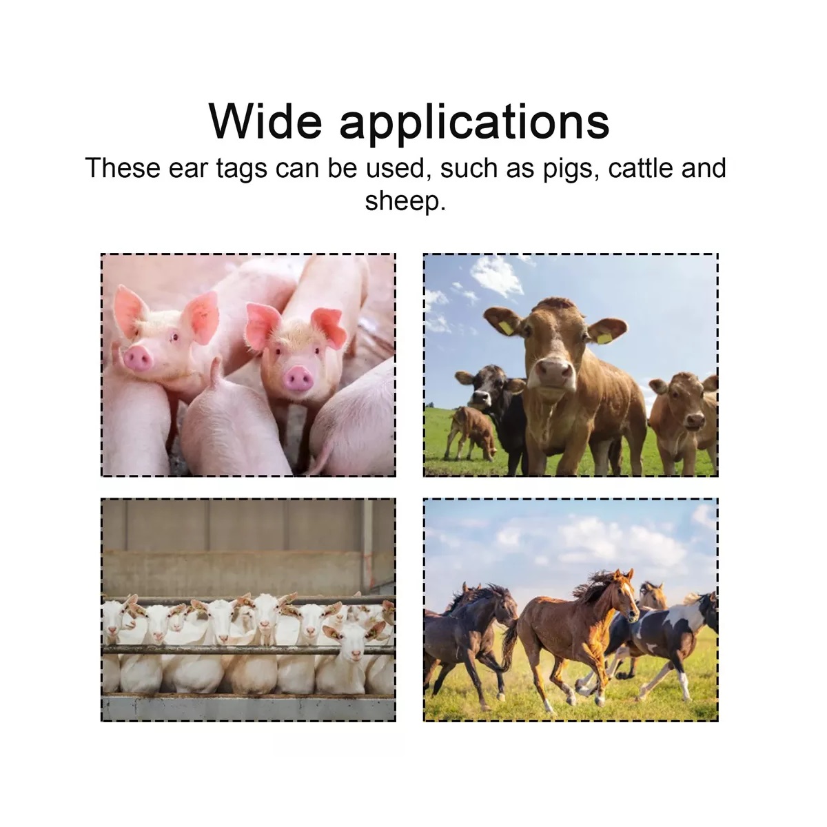 Pinzas Para Marcar Orejas Para Porcino, Bovino Y Ovino Verde