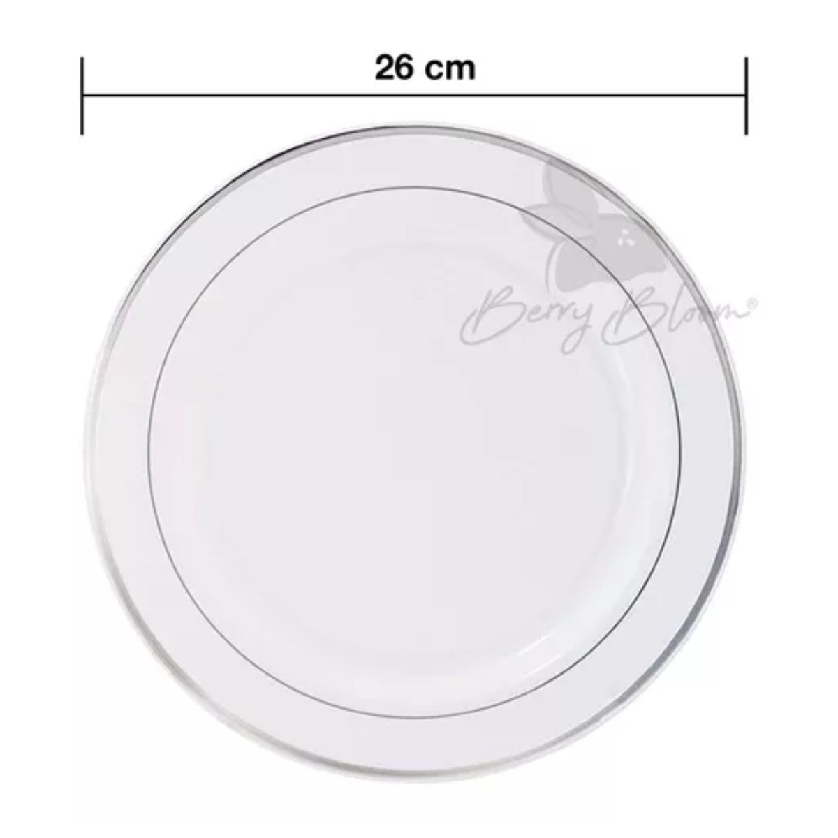 Platos Grandes Desechables Elegantes Plástico Para Fiesta BLANCO