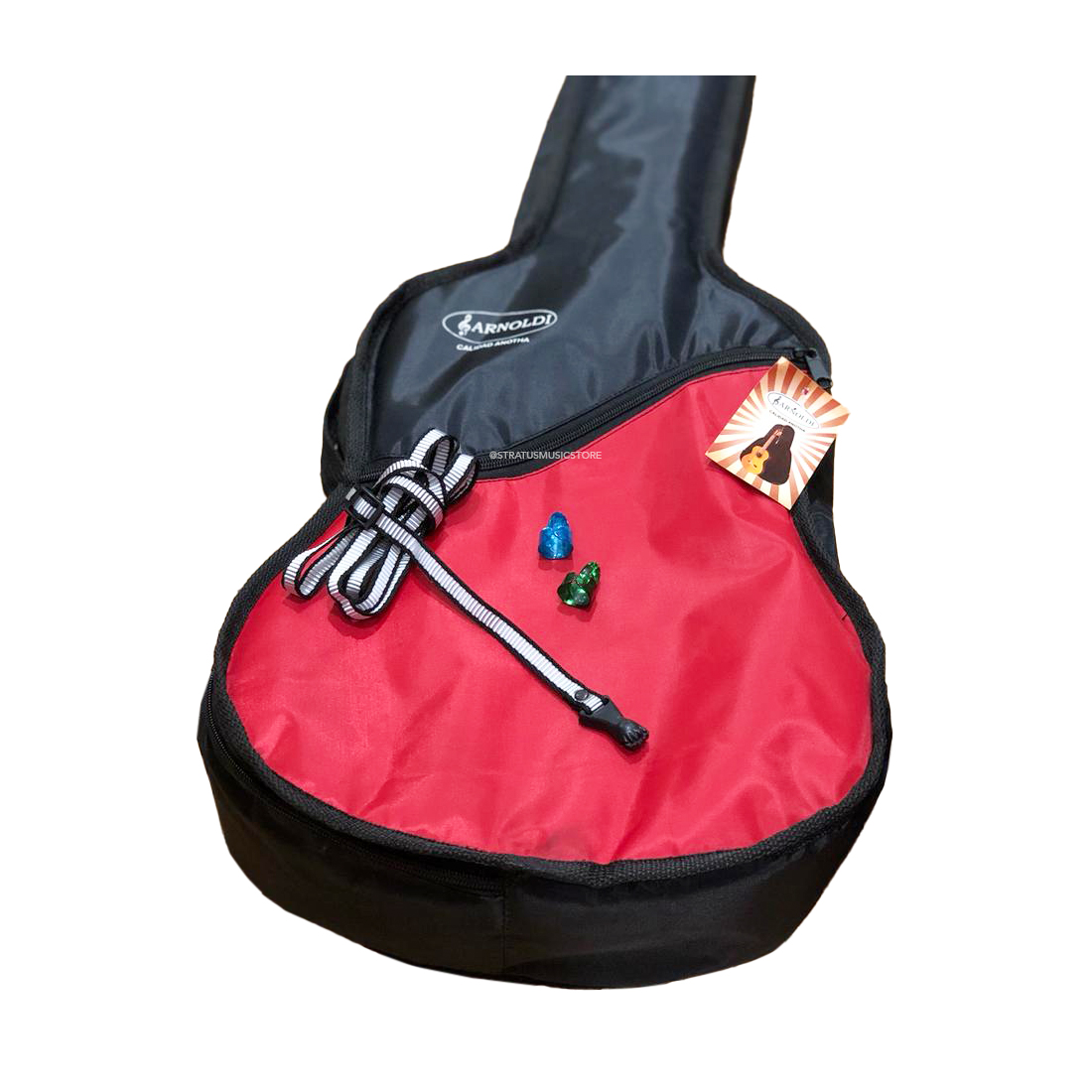 Vihuela de Cedro Artesanal Natural Funda y Accesorios