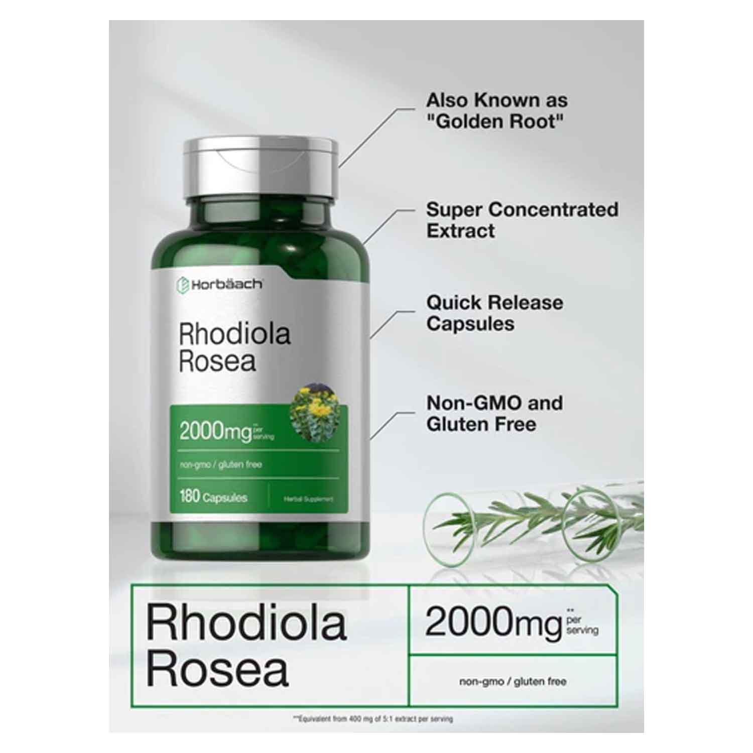 Rhodiola Rosea 2000mg Horbäach 180 capsulas ayuda al Animo, Energia y Salud