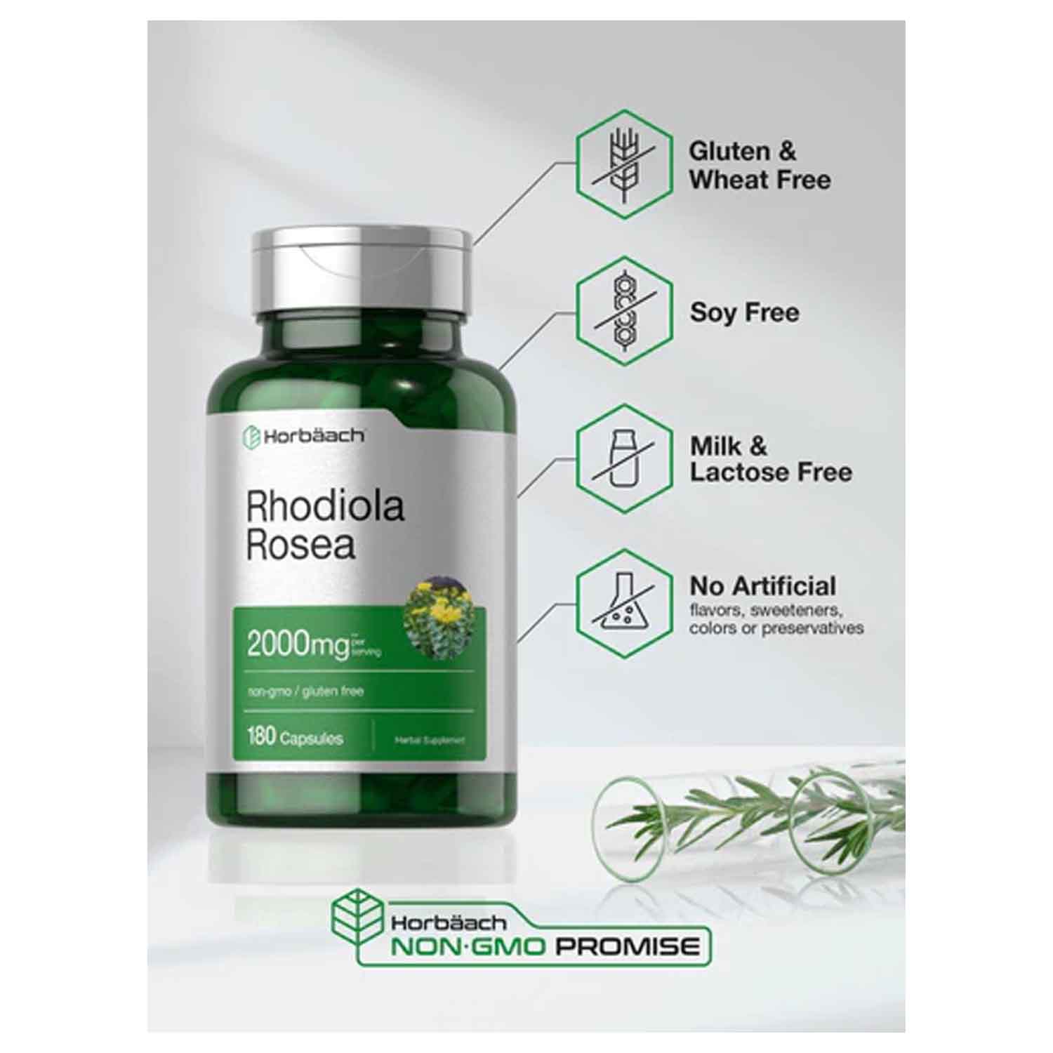 Rhodiola Rosea 2000mg Horbäach 180 capsulas ayuda al Animo, Energia y Salud
