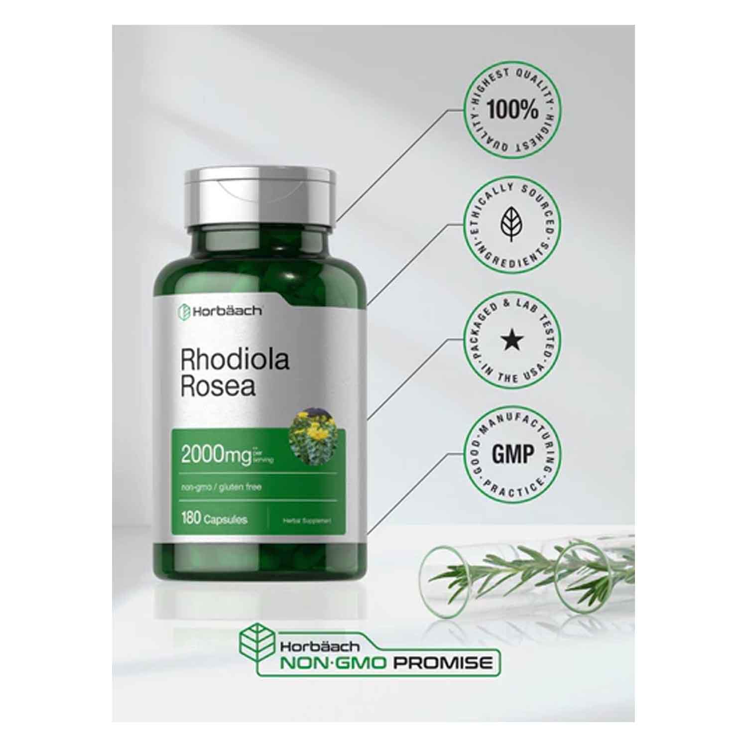 Rhodiola Rosea 2000mg Horbäach 180 capsulas ayuda al Animo, Energia y Salud