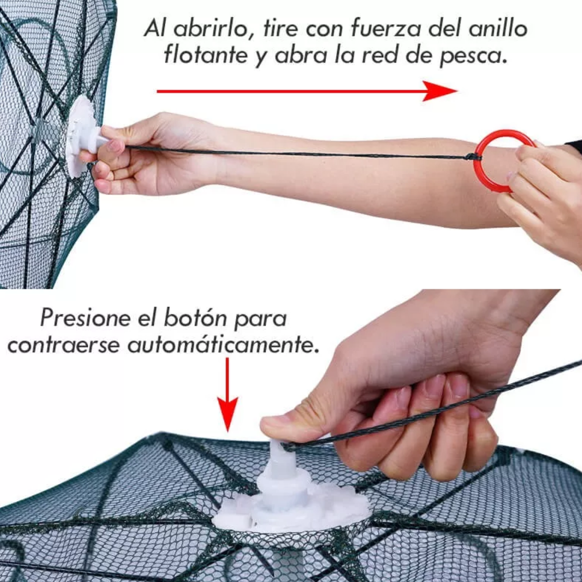 Par Trampa 24 Agujeros Plegable Red Pesca Cangrejos Peces Jaibas