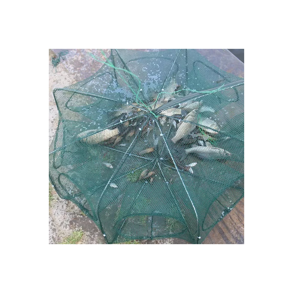 Trampa Plegable 10 Agujeros Red Pesca Cangrejos Peces Jaibas