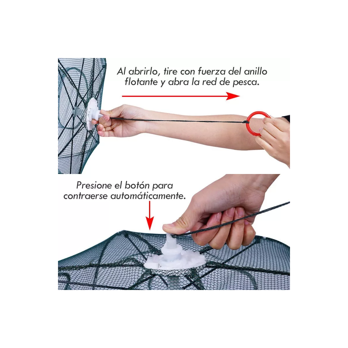 Par Trampa 16 Agujeros Plegable Red Pesca Cangrejos Peces Jaibas 