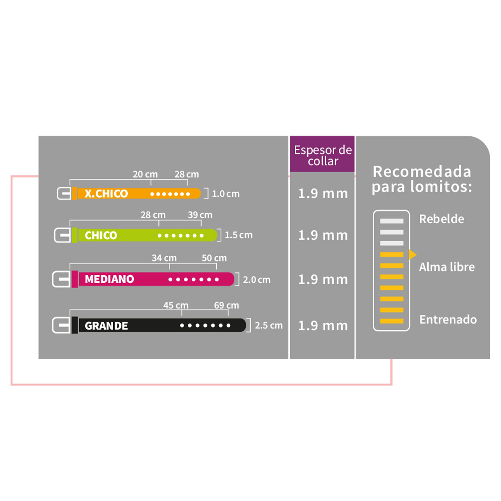 Collar para Perro Ajustable Chico CH Petit de Color Beige.