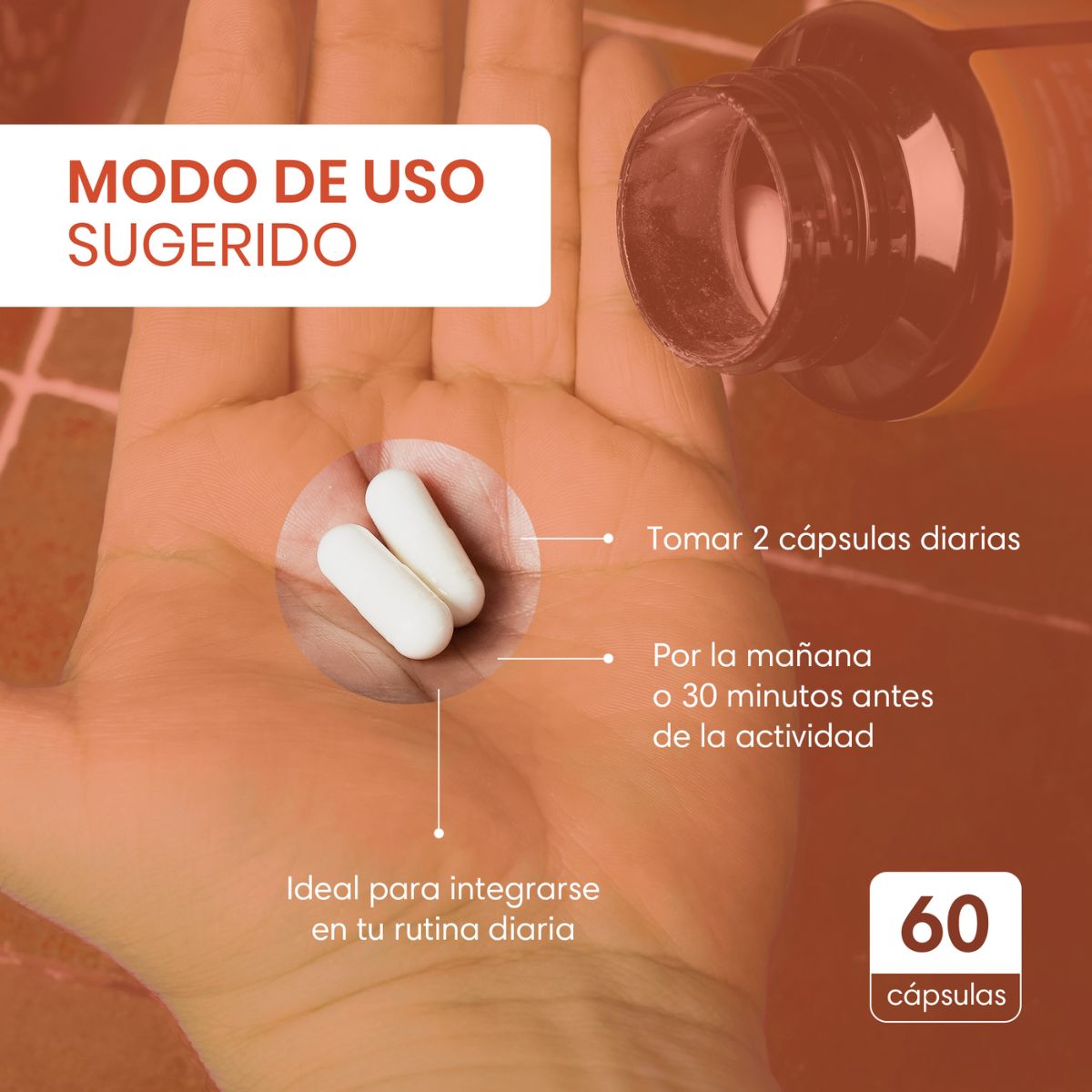 Suplemento Alimenticio 100% Natural Contiene L-Tirosina, Cafeína Anhidra y L-Teanina. Incluye 60 Cápsulas Veganas. Energía y Enfoque Mental