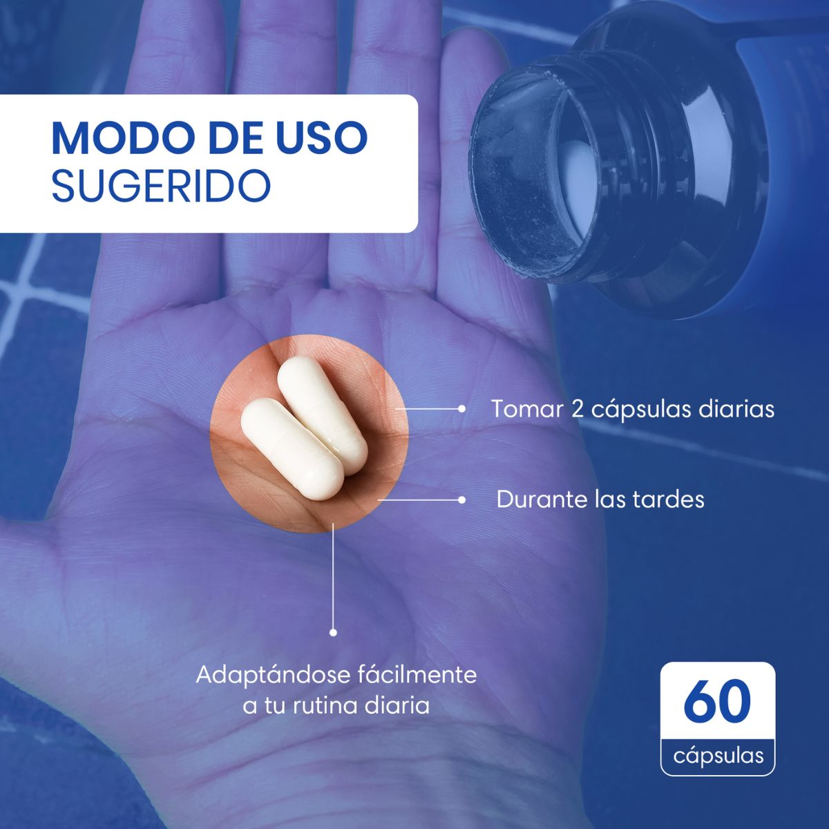 Suplemento Alimenticio 100% Natural Para el Estres Hecho a Base de Magnesio, L-Teanina y  Rhodiola. Contiene 60 Cápsulas Veganas. Apoyo a la Rutina Diaria