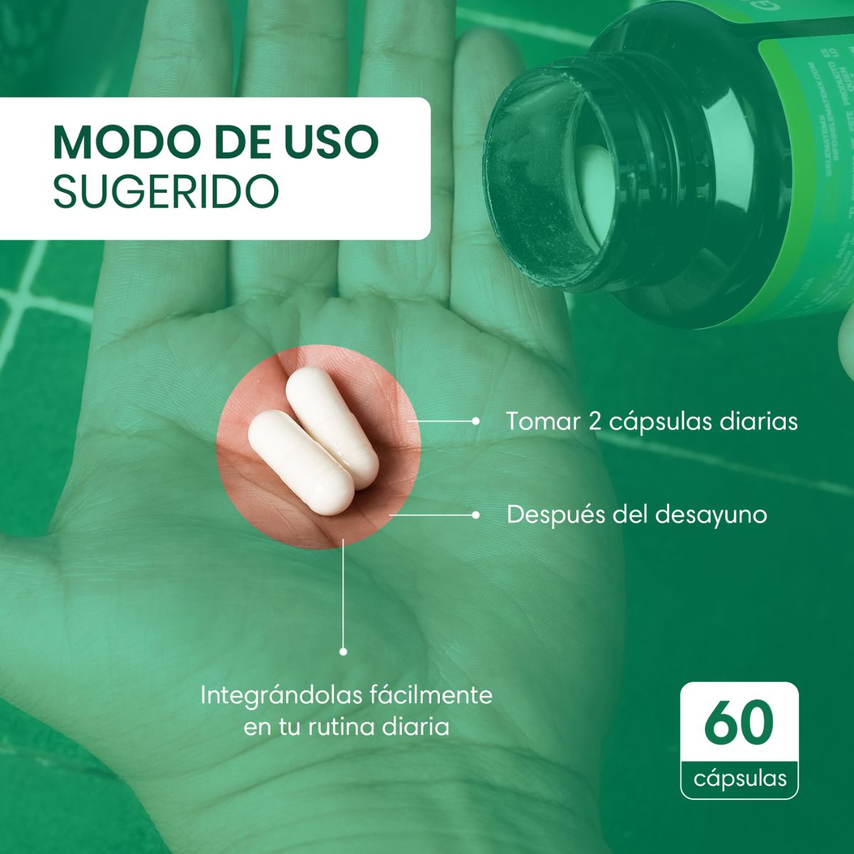  Kit x3 Gut It Suplemento 100% Natural A base de Probióticos, Prebióticos, Enzimas Digestivas, Citrato de Magnesio. 60 Cápsulas Veganas por Bote. Apoyo Digestivo