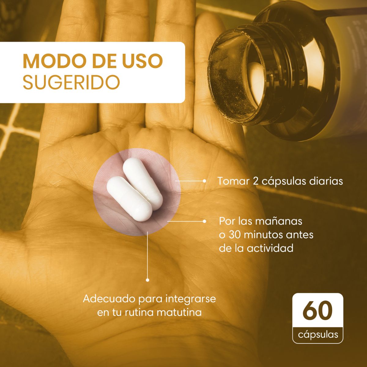 Kit x3 Suplemento Alimenticio 100% Natural Para el Estres Hecho a Base de Magnesio, L-Teanina y  Rhodiola. Contiene 60 Cápsulas Veganas. Apoyo a la Rutina Diaria