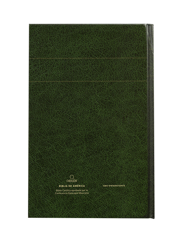La Biblia Católica Con Diseño de  Virgen de Guadalupe