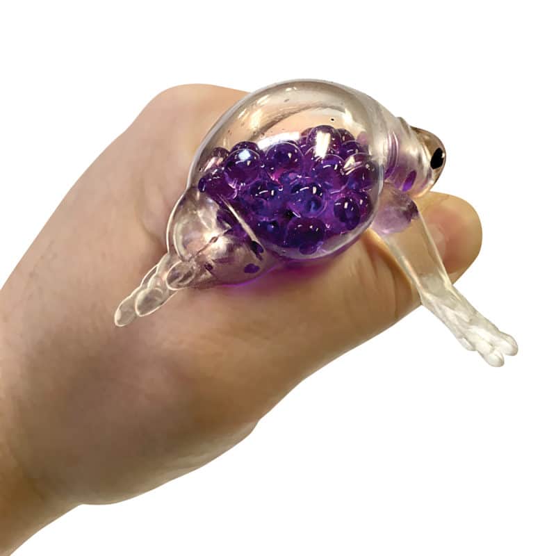 Squishy de rana juguete Squish the Frog - Juguete Antiestres