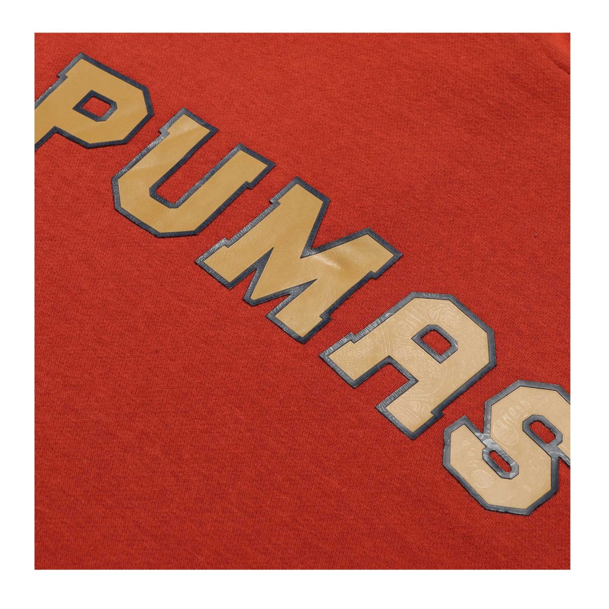 Sudadera Nike Pumas UNAM Terracota Hoodie 2022