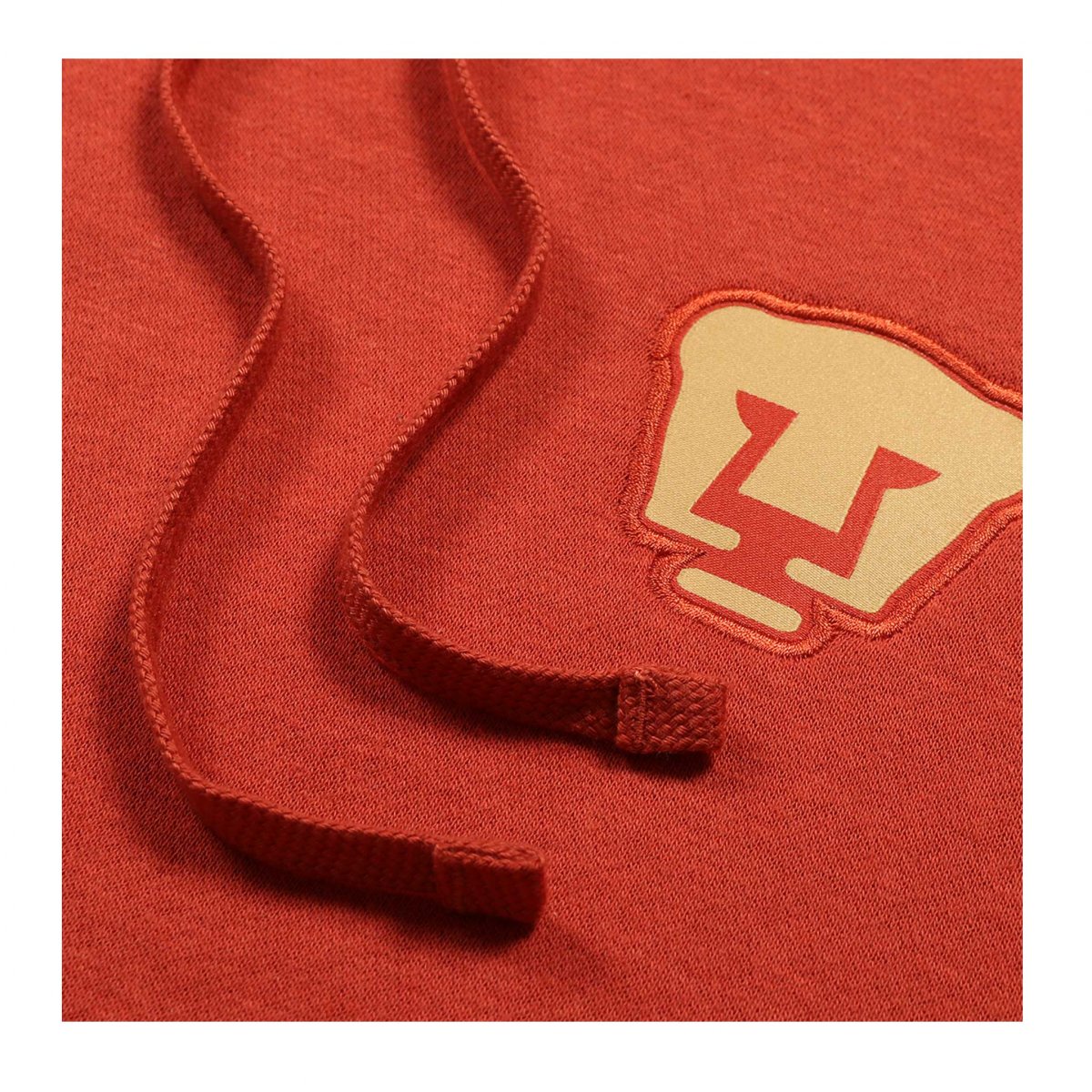 Sudadera Nike Pumas UNAM Terracota Hoodie 2022