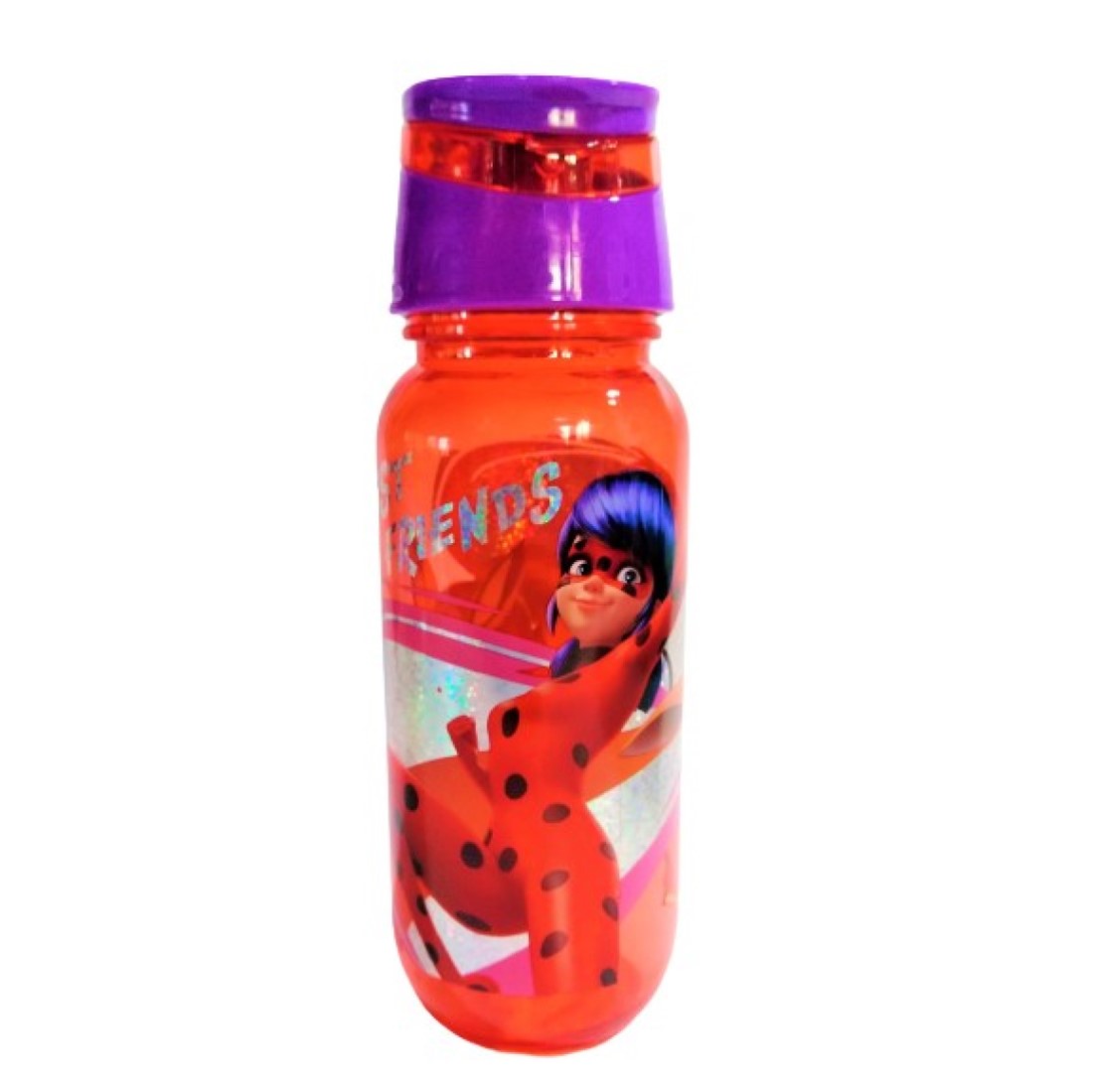 Botella De Agua  Lady Bug  400 mL