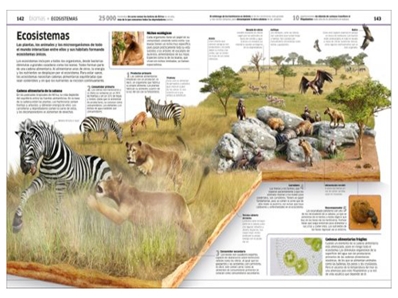 Libro Planeta Tierra: El mundo como nunca antes lo había visto