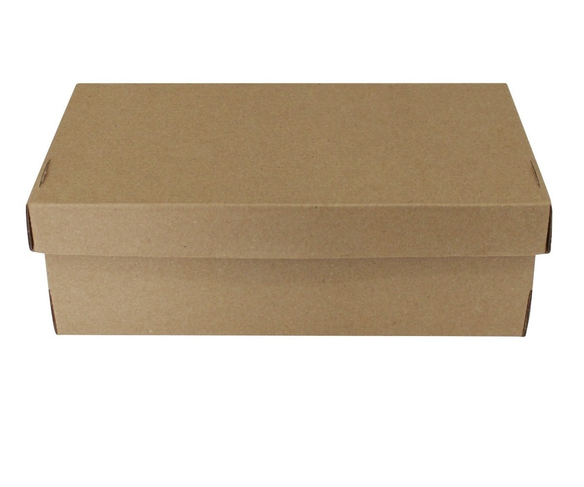 10 Cajas De Cartón Para Zapato Al Mayoreo Medida 31x20x11 Cm