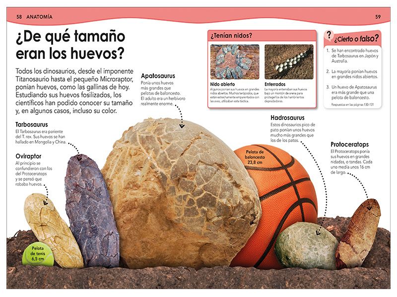 ¿SABIAS QUE? DINOSAURIOS 