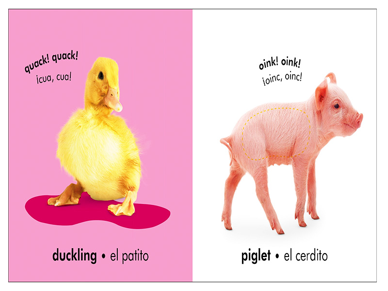 La Granja / The Farm /