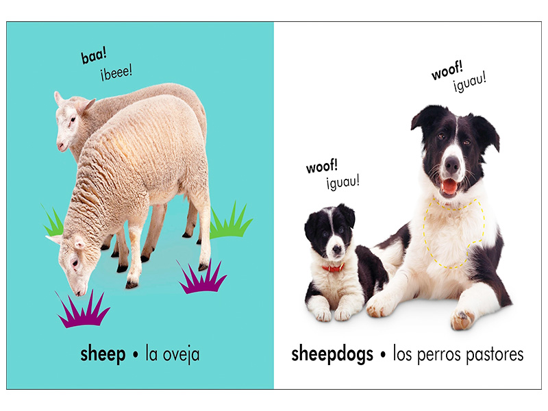 La Granja / The Farm /