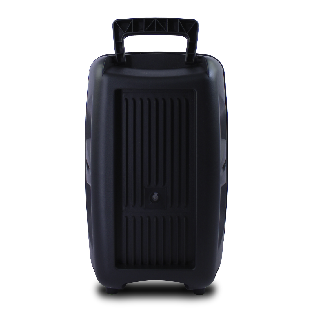 Bocina Tipo Bafle 8 Pulgadas Con Microfonon Alambrico  