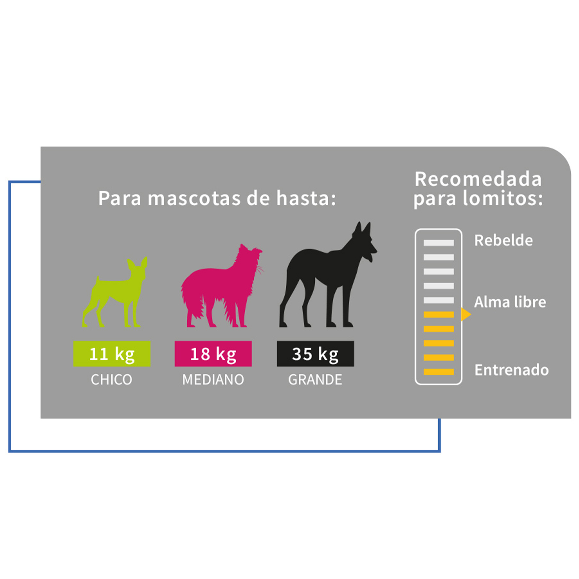 Correa Chica para Perro Petit Retráctil Durable Negro.