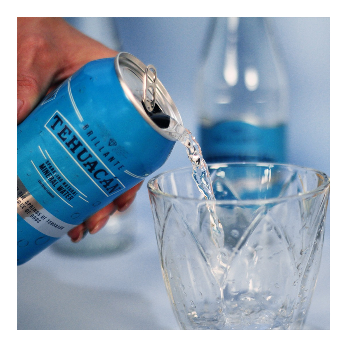 Agua Mineral Natural Brillante Tehuacán 355 ml 12 piezas