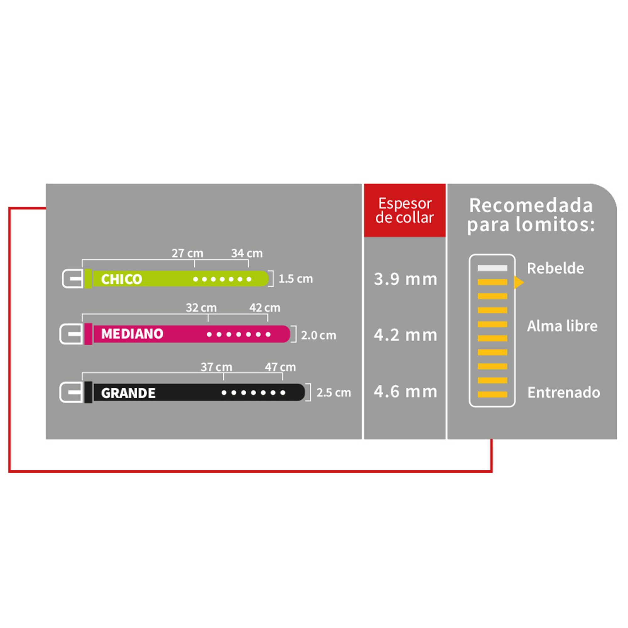 Juego de Collar y Correa Soft Mediano Petit para Perro Negro.
