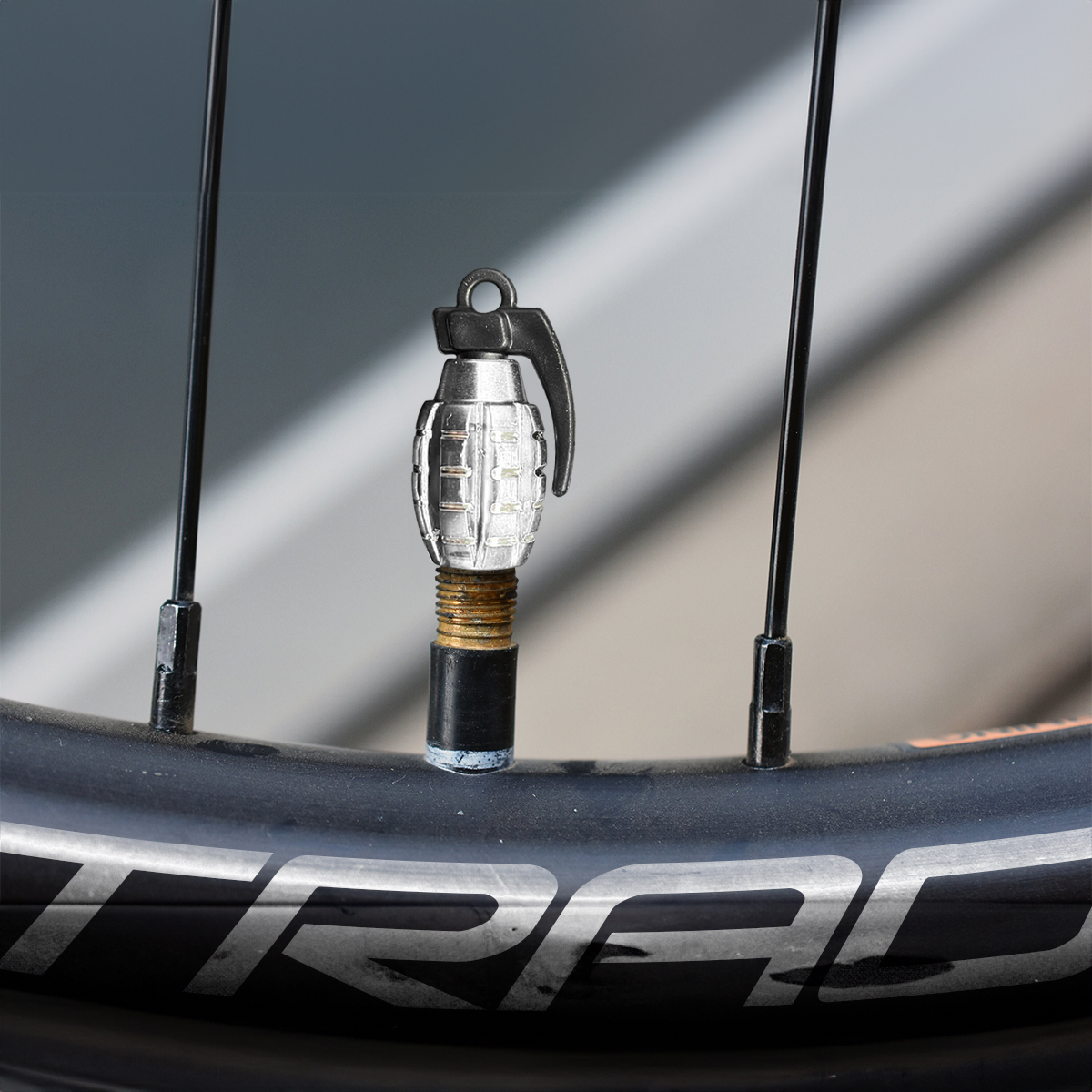 Tapón Pivote Cubre Válvula Bicicleta Moto Carro Plata