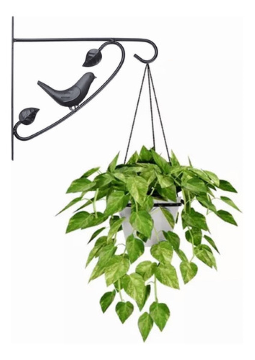 Gancho De Pared Para Colgar Plantas Para Maceta NEGRO