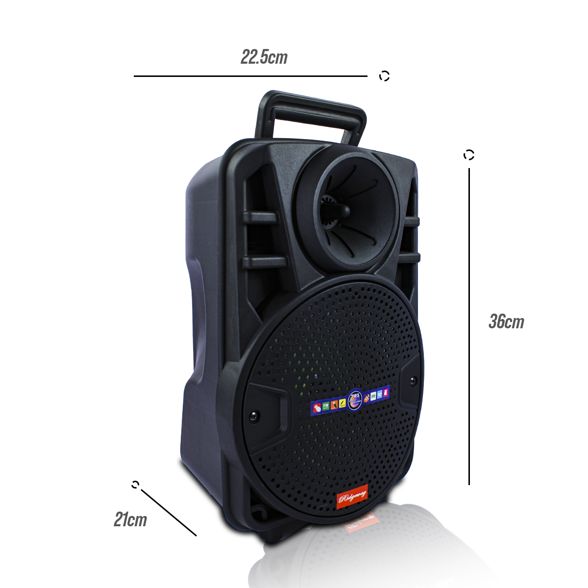 Bocina Bluetooth 8 Pulagadas Con Microfono Alambrico 