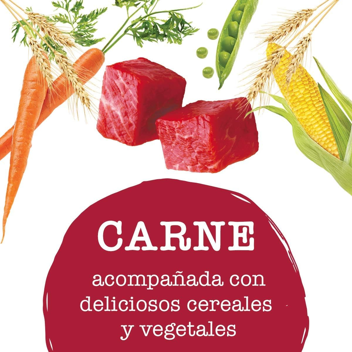 Alimento Beneful Original Perro Adulto Carne en Bolsa 10 kg