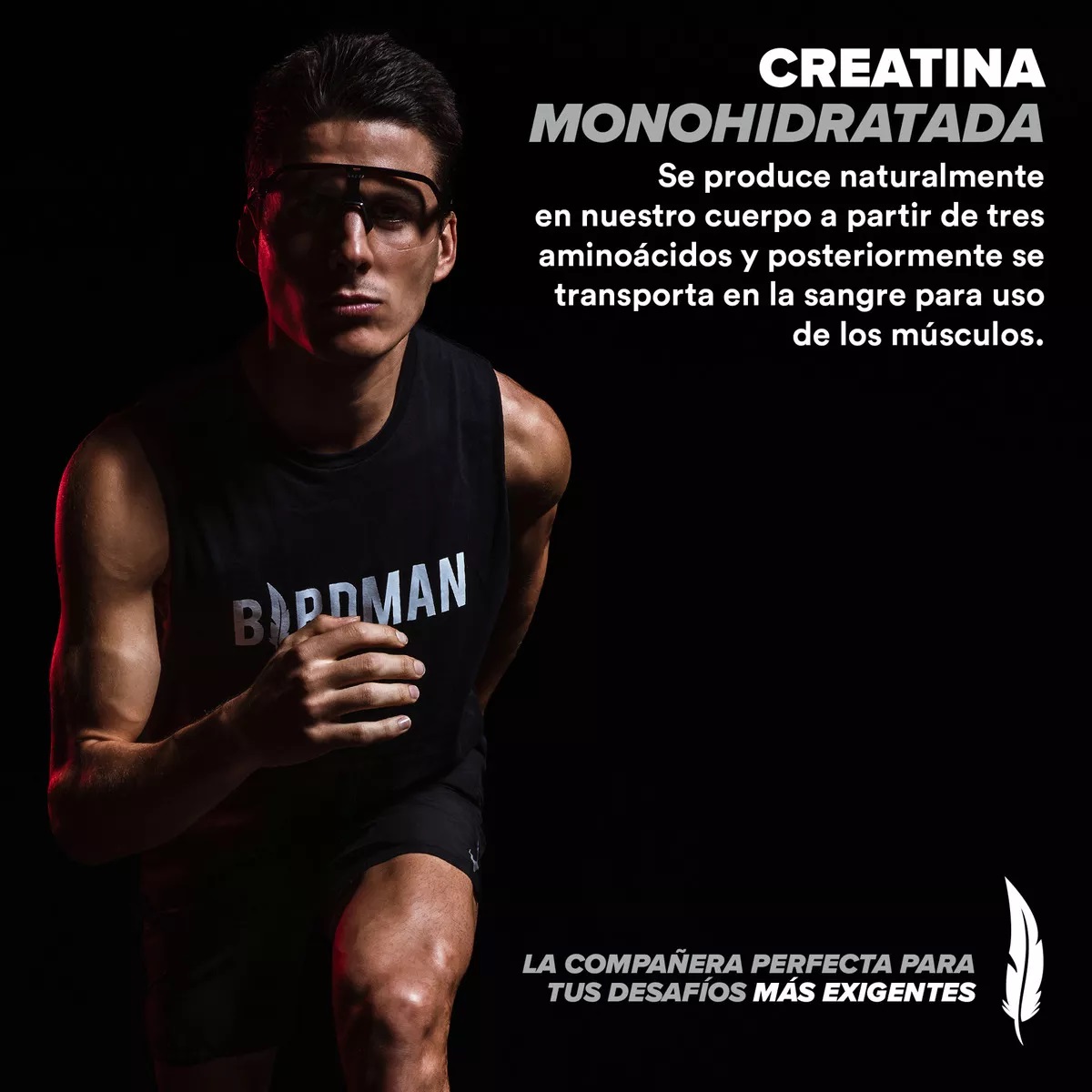 Birdman Creatina Monohidratada En Polvo 450g Sabor Natural