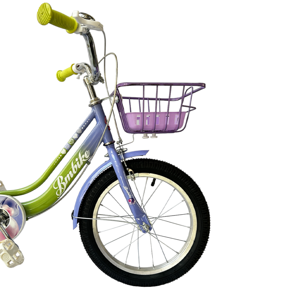 Bicicleta para Niña R-16 BM Toys Verde con Azul Pastel YM-800