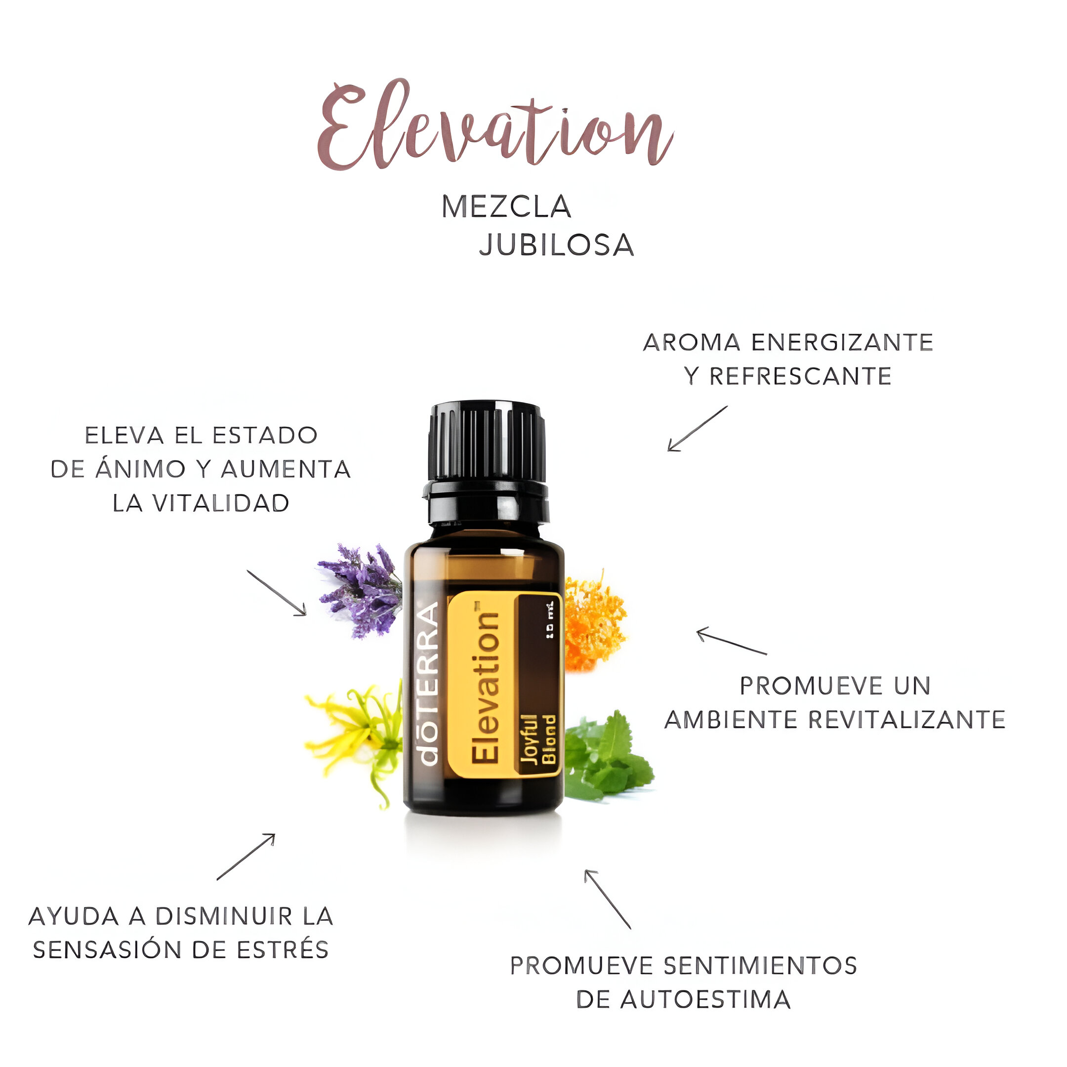 Mezcla de Aceites Esenciales Doterra Elevation Mezcla Jubilosa