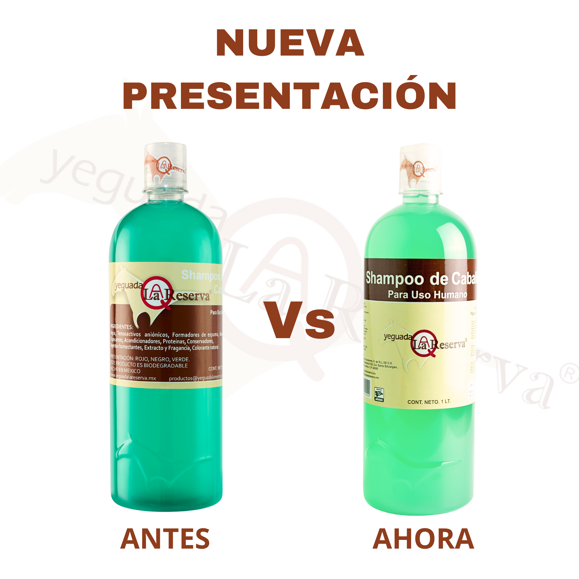 Shampoo de Caballo VERDE para Uso Humano, Yeguada la Reserva. Ideal para Cabello Delicado . Estimula el Crecimiento, Fortalecimiento y Brillo . 1 L (1 Botella)